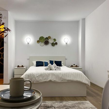 Superior One Bedroom Apartment Unirii Square ブカレスト エクステリア 写真