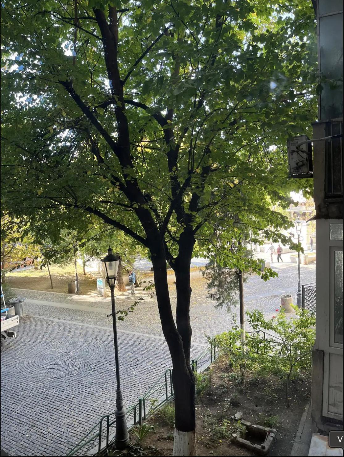 Superior One Bedroom Apartment Unirii Square ブカレスト エクステリア 写真